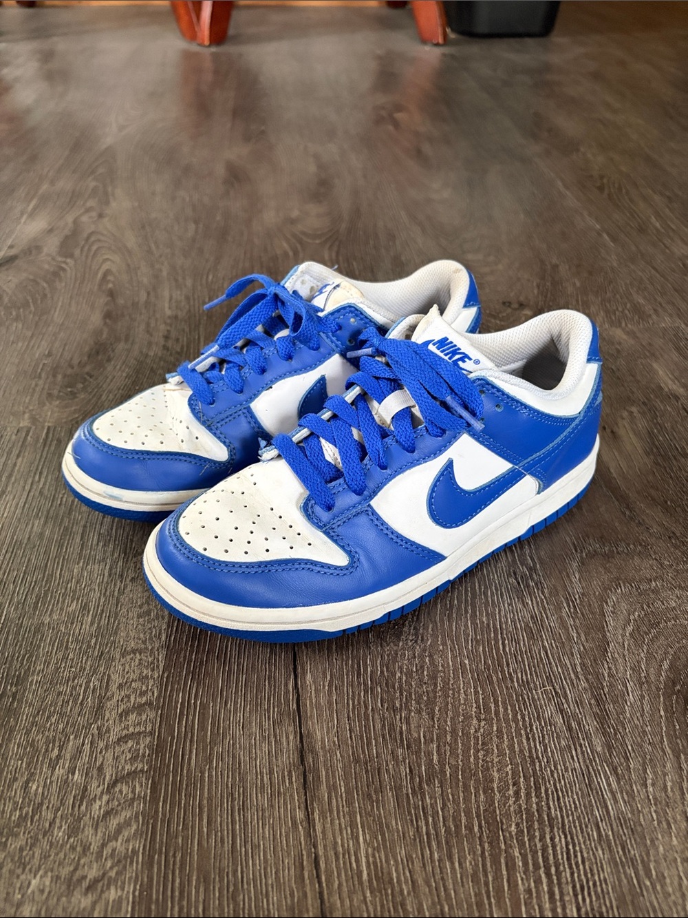 Nike dunk low